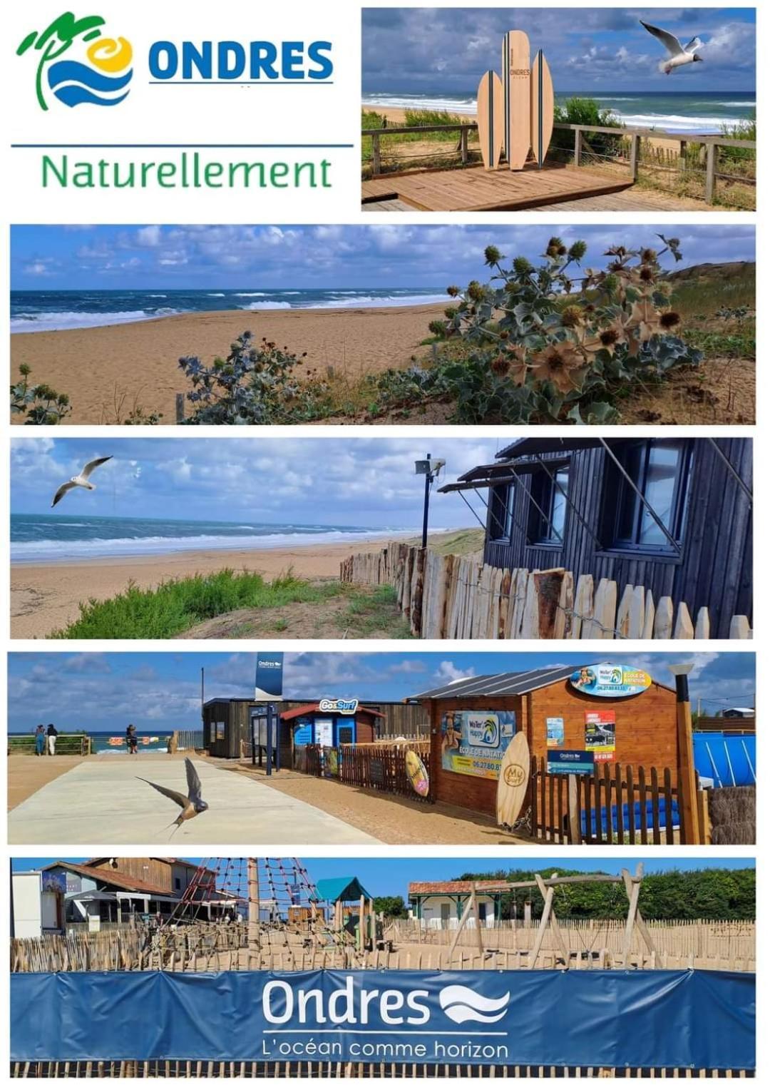 T2 Turquoise Ondres Plage Avec Piscine Et Tennis Eksteriør bilde